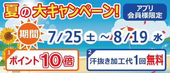 夏の大キャンペーン